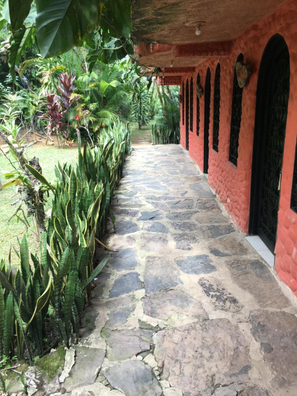 Hotel Green Ecologico La Vega  Extérieur photo