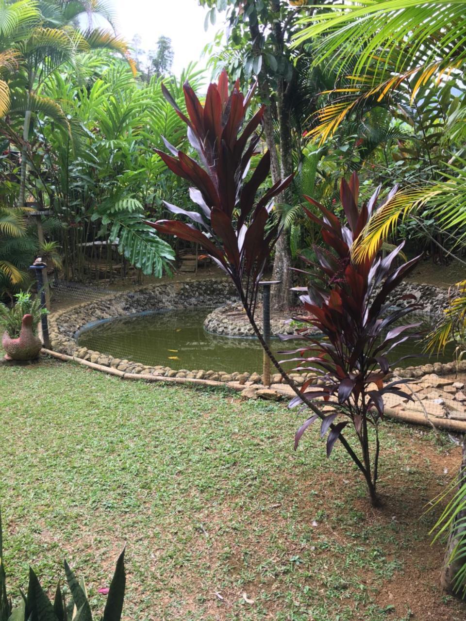 Hotel Green Ecologico La Vega  Extérieur photo